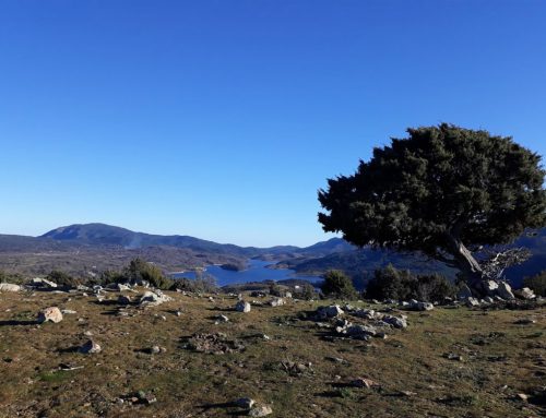 Villanova Strisaili: storie e luoghi da visitare