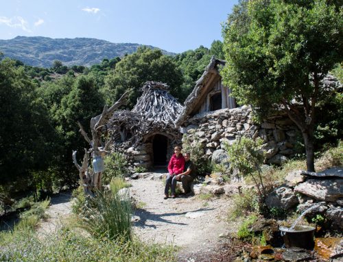 Io scelgo la Sardegna