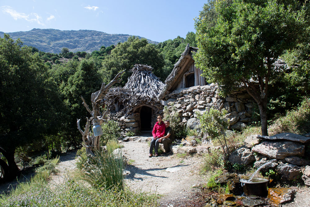 Io scelgo la Sardegna Selvaggio verde