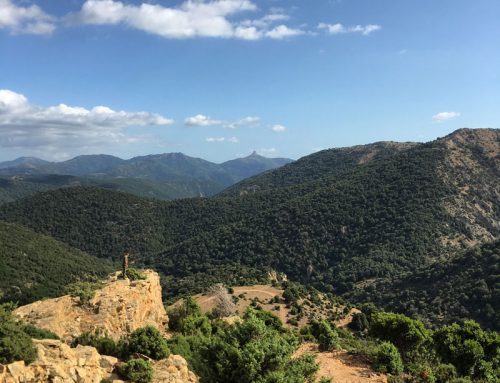 Gennargentu: la porta del vento