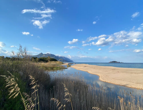 Zona rossa in Sardegna la mia quarantena a Girasole